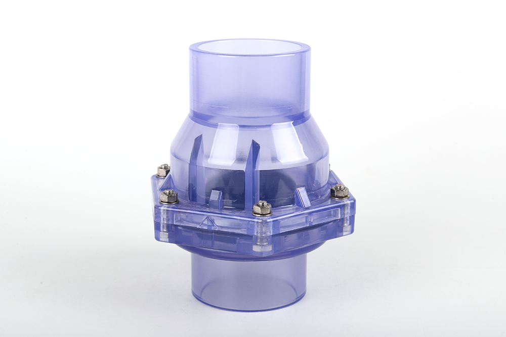 乐亭透明翻板式止回阀